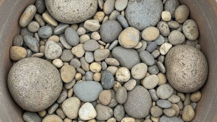 No es solo decoración: por qué se colocan piedras en el fondo de las macetas