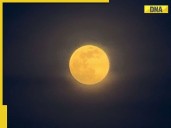 Stunning Beaver Moon illuminates night sky: See how the world witnessed Supermoo