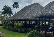 Share Stories From the Grassroots to Ignite Ideas for Growth