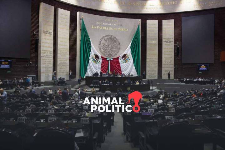 “No somos la Santa Inquisición”: Comité de Ética anticipa llamados a reflexión en lugar de sanción