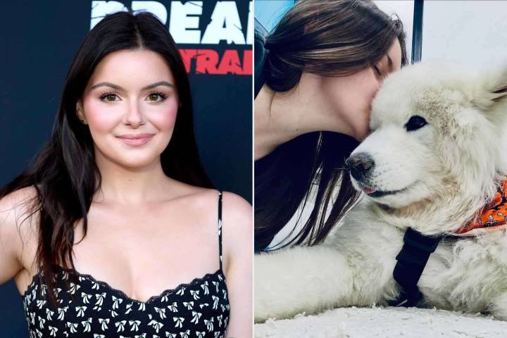Ariel Winter Mourns the Death of Her Dog Casper: 'First Baby'