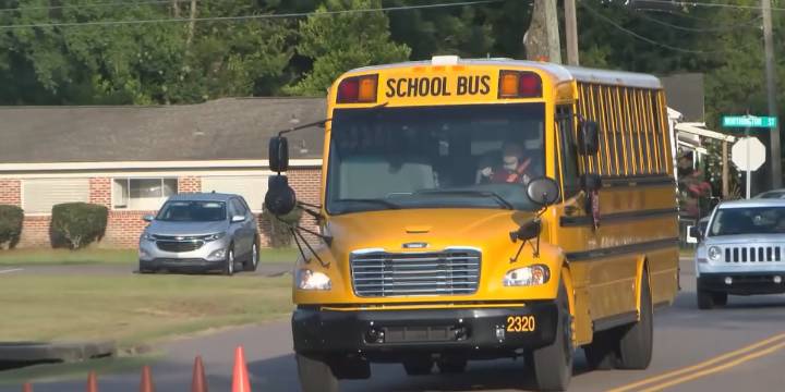 Local school districts show state report card improvements, highlighting growth