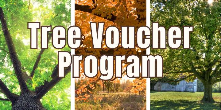 Paducah parks to accept applications for tree voucher program