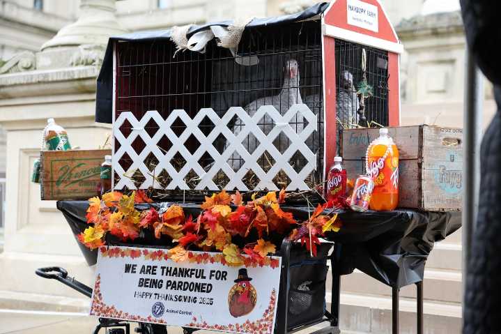 Gov. Whitmer pardons turkey sisters ‘Faygo’ and ‘Vernors’