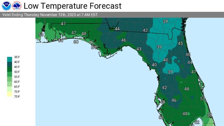 Florida sees two days of polar blast and record cold. Will it warm up?