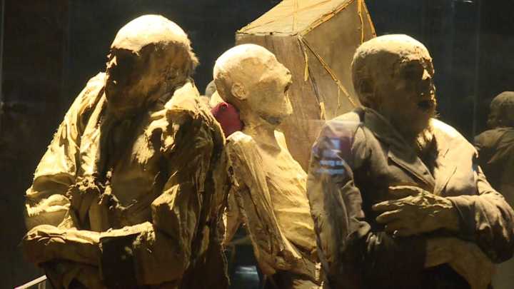 Museo de las Momias de Guanajuato: ¿Cuál es su Horario en 2025 y Dónde Está Ubicado?