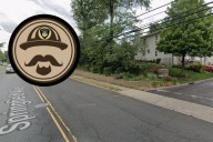 Unleashed pit bulls fatally mauls small dog, injures woman in NJ