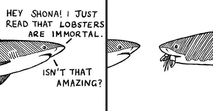 Here Are Our 26 Best Comics That Depict The Snarky Conversations Between Sharks And Other Aquatic Life