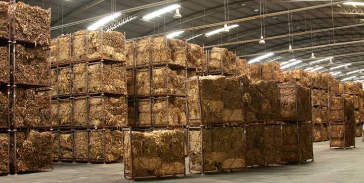 Las exportaciones agroindustriales crecieron 21% en valor en septiembre de 2025