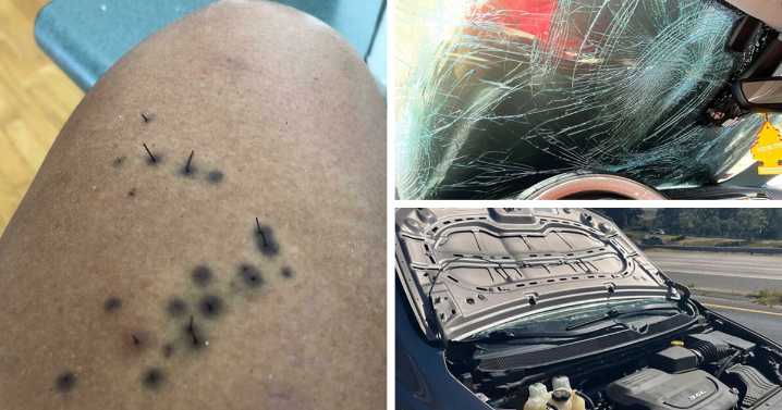 If Today Feels Horrible, Here Are 20 Photos To Remind You It Can Always Get Worse (New Pics)