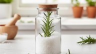 Romero y sal gruesa: para qué sirve colocarlo en un frasco dentro de la casa