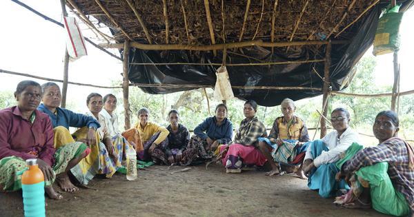 Eco India: How Maharashtra's forestry models are helping make conservation profitable for its locals