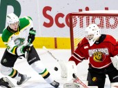 LIVE: London Knights vs. Owen Sound Attack