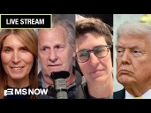 'The Best People with Nicolle Wallace' Thanksgiving Day marathon