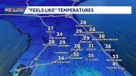 Arctic blast sweeps through Central Florida