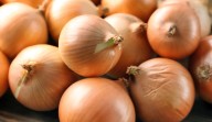 Is there an onion recall? Here’s what to know right before Thanksgiving 2025