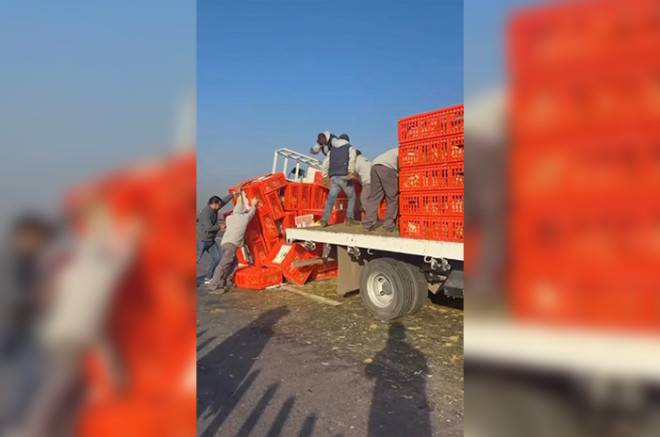 Vuelca camión con pollos y genera tráfico en el Libramiento Lerma