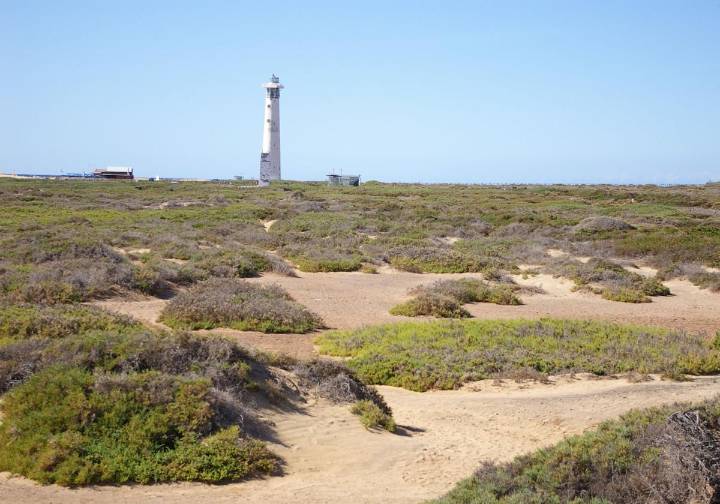 El confinamiento obligatorio de aves de corral solo se aplica en Pájara