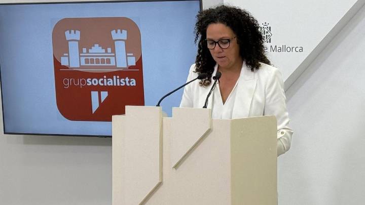 Choque entre PP y PSIB por la gestión de la transparencia en el Consell de Mallorca
