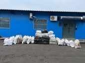 Incautaron más de 780 kilogramos de Marihuana Tipo Creepy