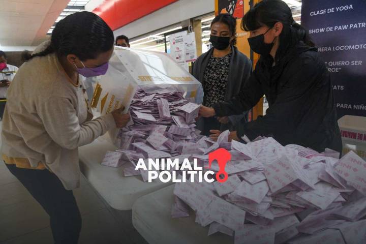 Morena busca que revocación y elecciones intermedias sean mismo día para elevar participación