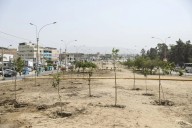 Lima, Trujillo y Arequipa destacan por déficit de áreas verdes y mayor riesgo por calor