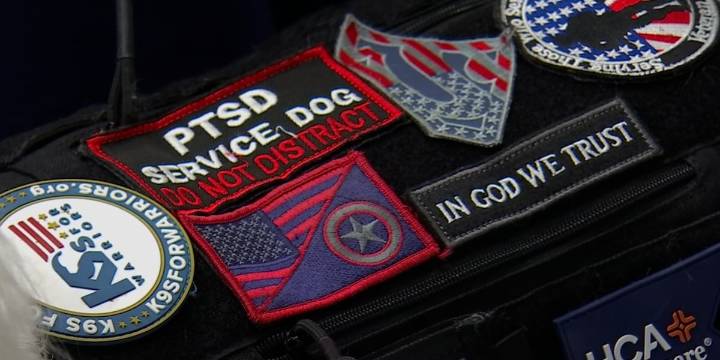 HCA Nashville and K-9s For Warriors name service dog for veteran in need