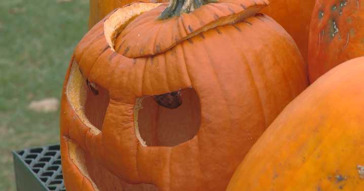 First annual 'pumpkin smashing' event looks to reduce waste