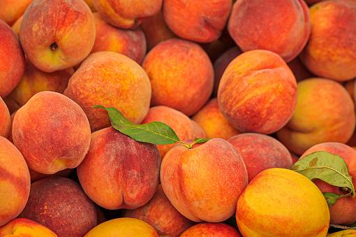 Fresh peaches sold at Trader Joe's, Kroger recalled over listeria risk