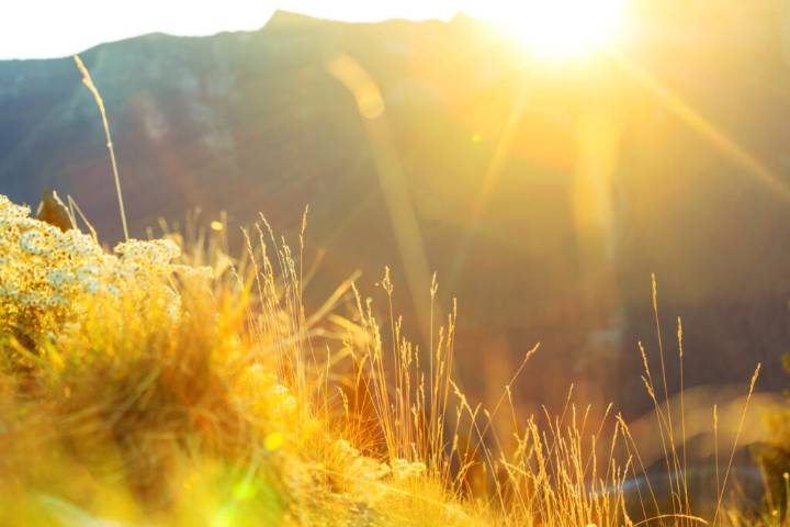 Weather Forecast for Wednesday, November 26, 2025