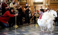 The Real History of the White House Turkey Pardon
