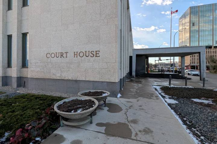 ‘Beyond dangerous’: trial hears from defence for first time in Misha Pavelick murder trial