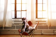 Ultimate Great Dane Puppy Shopping List: Checklist of 24 Must