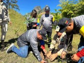 Intt impulsa jornada nacional de reforestación