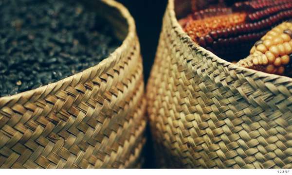 Mexicanos consumen 50% menos frijol que en 1980: María Luisa Albores