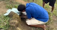 Abandoned newborn girl found on rural embankment by farmers working in fields