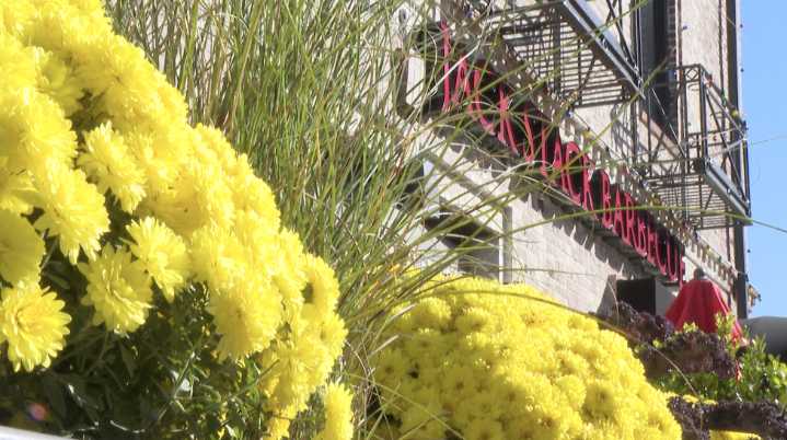 $18 million Jack Stack BBQ project approved to transform Harrisonville, Missouri, eyesore