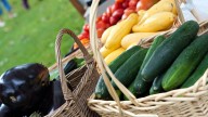 Bristol Farmers Market will double SNAP benefits at Fall Festival Market