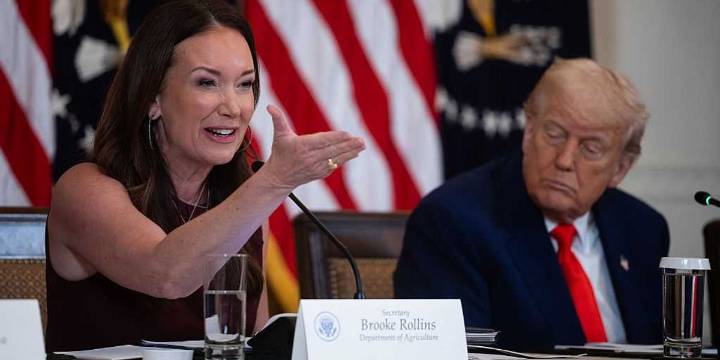 Trump admin drops hammer on SNAP scammers after finding 186K dead people collecting benefits