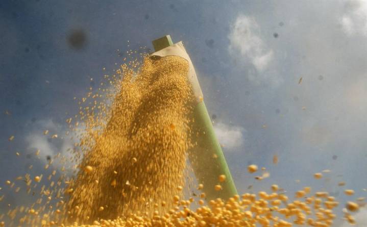 La suba de la soja podría impulsar la entrada de dólares