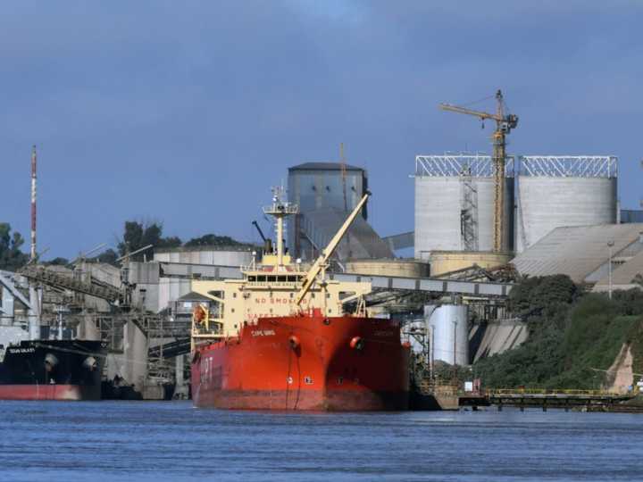 Se desplomó la liquidación de divisas del campo tras la finalización de las retenciones cero