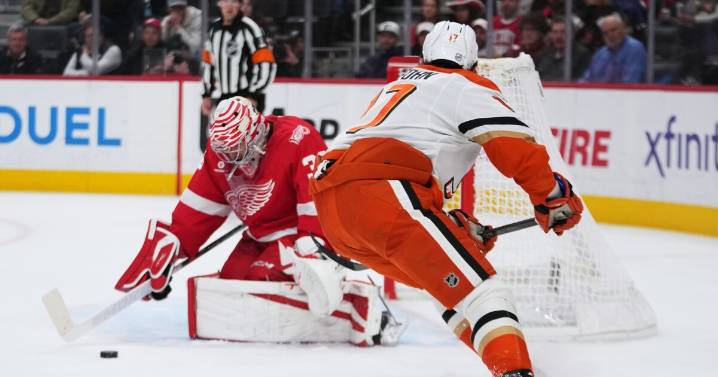Alex DeBrincat scores twice, Red Wings beat Ducks to end 3