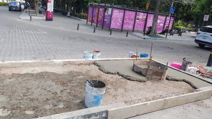 Construyen “Mausoleo” en honor a los árboles talados de la Alameda, en Celaya