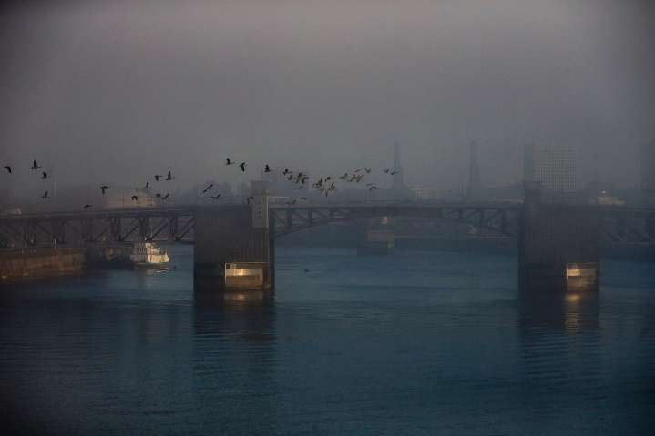 Portland weekend weather starts out foggy and will end with rain