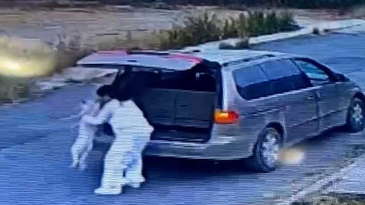 Video: Abandona a su Perrito en Colonia Lomas de Lourdes en Saltillo