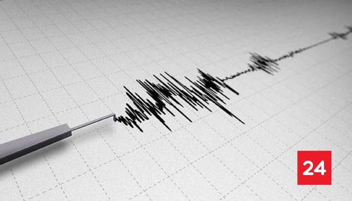 SHOA descarta tsunami en las costas chilenas tras sismo 6.6 en Japón