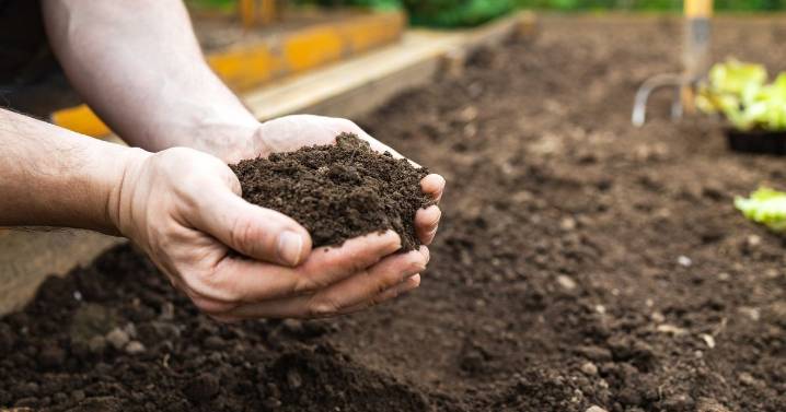 Gardening material that's 'completely free' and 'effective' is 'like magic' for soil