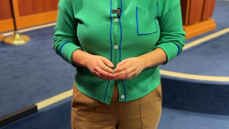 Fired and furloughed federal workers urge Democrats to hold the line