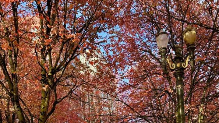 Drying, warming trend takes shape over Portland