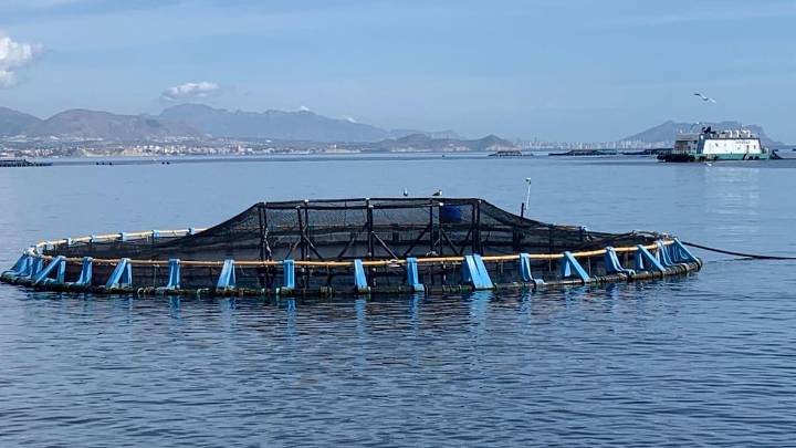 Un viaje a una granja marina: una manera de democratizar el consumo de pescado